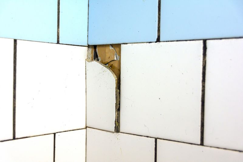 Damaged Grout Lines