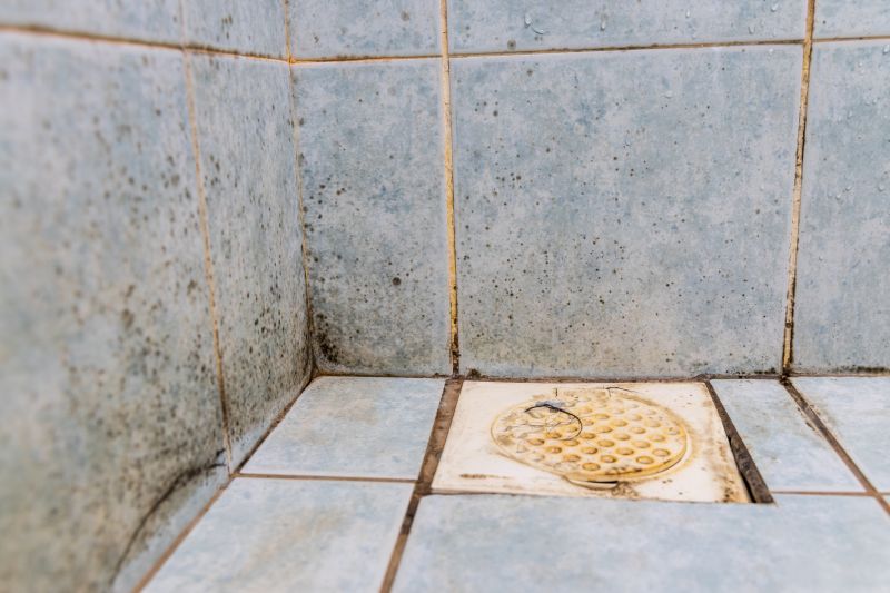 Cracked Grout in Shower